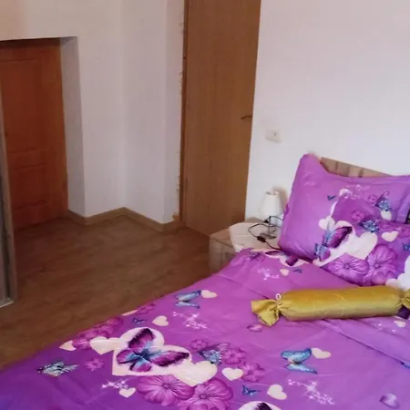 Casa Timis Villa Moisei